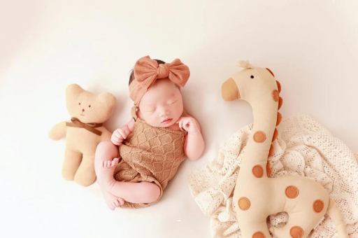 咸宁宝宝虾的做法 咸宁宝宝虾的做法